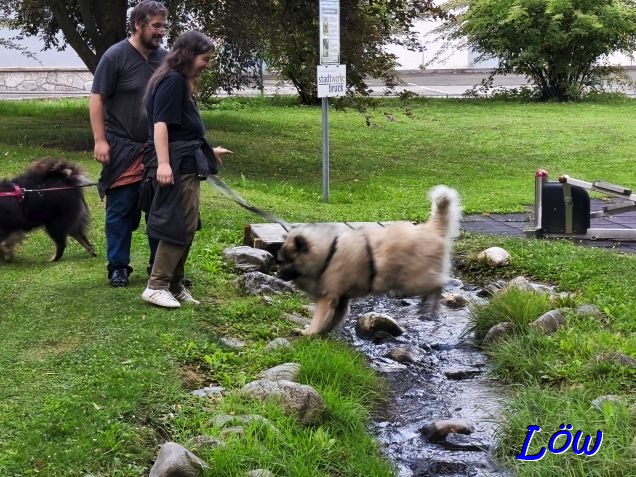 21.8.2025 - Bach&uuml;bergang 3